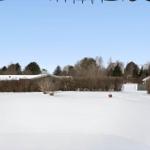 Snow-covered garden with hedge and trees in the background.