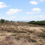 Weitläufiges Moor mit Sträuchern und Blick auf das Meer unter blauem Himmel.