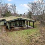 Moderne Hütte mit grünem Dach und Holzterrasse im Wald