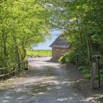 Durch einen Waldweg führt zu einer Hütte mit Strohdach und Blick aufs Wasser.