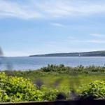 Blick auf das Meer mit Segelboot und grüner Landschaft im Vordergrund.
