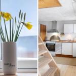 Küche mit Holztreppe und Blumen an Fenster
