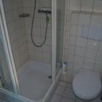 Badezimmer mit Dusche, Toilette und Toilettenpapierhalter.