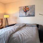 Schlafsofa im Wohnraum