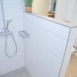 Dusche mit Duschbrause, Pflanze und WC-Bereich