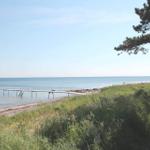 Dock with pier and beach in the background. Grass and tree at the edge.