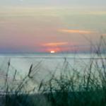 Sonnenuntergang über dem Meer, sichtbar durch hohes Gras.