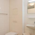 Badezimmer mit Toilette, Waschbecken und Spiegel.