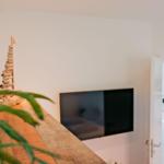 Holzoberfläche mit Pflanze, Fernseher und Blick in Küche