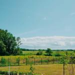 Haus mit Gartenzaun, grüne Wiesen und Bäume unter blauem Himmel.
