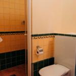 Bad mit Dusche, Toilette und Toilettenpapierhalter an der Wand.