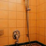 Dusche mit Handbrause und orangefarbenen Fliesen