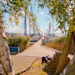 Holzweg führt zum Hafen mit Segelbooten. Bäume und Gras säumen den Pfad.
