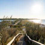 Holzsteg führt hinab zum Strand und zur Bucht. Sonne scheint, Menschen genießen die Küste.
