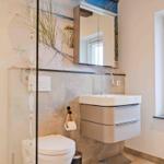 Badezimmer mit Dusche, Waschbecken und Fenster mit Pflanze.