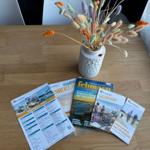 Holztisch mit Blumen und Fehmarn-Reiseführern.