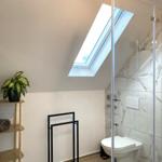 Badezimmer mit Dusche, Toilette und Dachfenster. Holzregal mit Handtüchern und Pflanze.