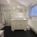 Bathroom with sink, mirror, and shower under sloped ceiling.