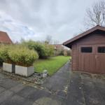 Backyard with wooden shed, lawn, and bamboo in wooden boxes.