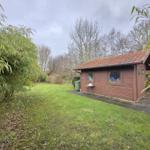 Wooden house with patio and garden. Surrounded by bamboo and trees.