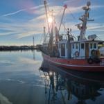 Fishing boat with red hull is docked in harbor. Sun shines through masts.
