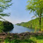 Ein Blick auf einen See, umgeben von grünen Bäumen und bewaldeten Hügeln.