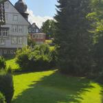 Grüner Garten mit Blick auf traditionelle Häuser und hohe Bäume.
