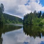 Ein ruhiger See spiegelt Bäume und Himmel wider.