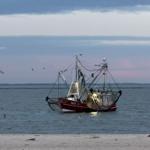 Krabbenkutter am Wattstrand Ostseite