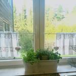 Die linke Fensterseite hat ein feststehendes Fliegengitter