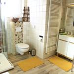 Bad mit Dusche, Toilette und Waschbecken. Holzdielenboden und gelbe Teppiche.