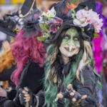 was es sonst noch Wichtiges gibt die " Wolfshäger Hexenbrut" Walpurgis 2025