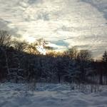 Schneebedeckter Wald bei Sonnenuntergang mit kahlen Bäumen und Tannen.