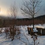 Schneebedeckter Holztisch und Bänke im Wald bei Sonnenaufgang.