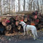 Flora unterwegs in der Natur