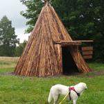 die neue Köte in der Nähe der Schäderbaude und unser Hund Flora