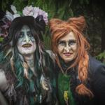 was es sonst noch Wichtiges gibt die " Wolfshäger Hexenbrut"