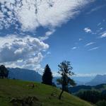 Green meadow with trees and mountains under blue sky with white clouds.