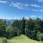 View of green hills and forests under blue sky with white clouds.