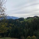 House on green meadow with forest and mountains in background.