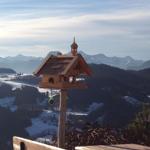 Wooden birdhouse on terrace with mountain view