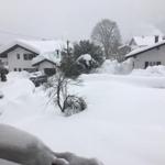 Snow-covered houses and trees. A car is partially buried.