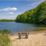 Zwei Bänke am Strand eines Sees mit grüner Waldlandschaft im Hintergrund.