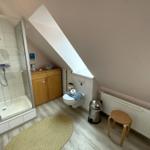 Duschbad mit Dusche, Toilette und Holzschrank unter Dachschräge