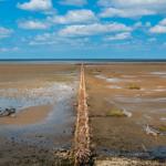 Mudflat mit Holzpfosten und Wasserpfützen unter blauem Himmel.