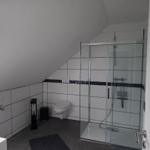 Badezimmer mit Dusche, Toilette und Dachfenster.