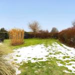 Garden with patches of snow, tall grasses, and trees in the background.