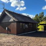Wooden house with thatched roof and antenna under blue sky