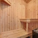 Holzsauna mit Sitzbänken und Steinkiste.