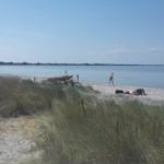 Strand mit Watt, Dünen und Booten. Menschen baden und sonnen.
